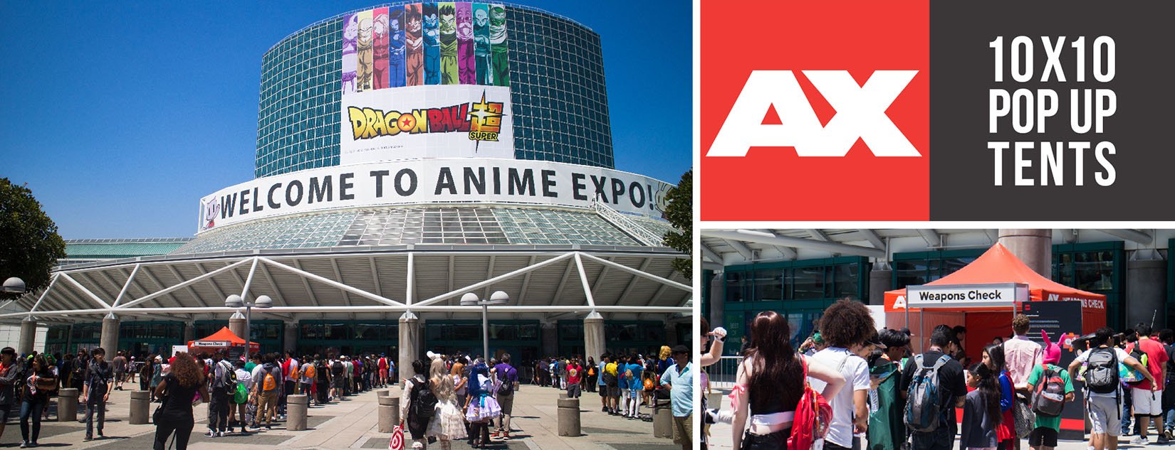 Anime Expo at the LA Convention Center
